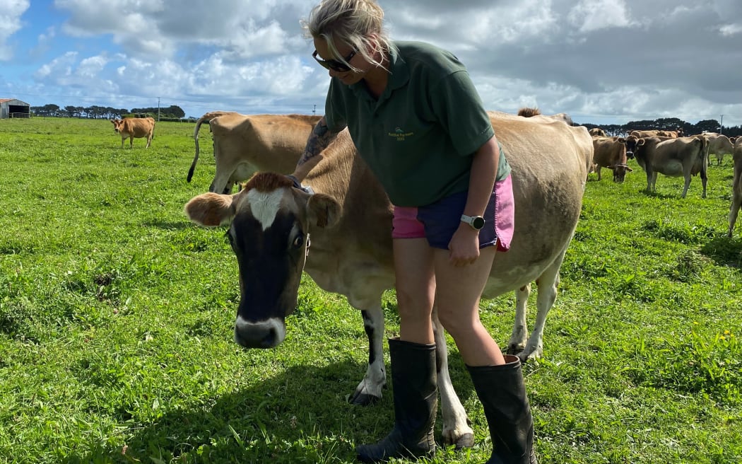 Rachel Short with one of her more affectionate cows, Cuddles.