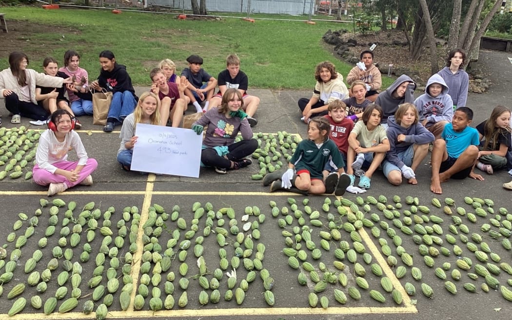 The kids of Oromahoe School, in the Far North, with their haul of moth plant pods.