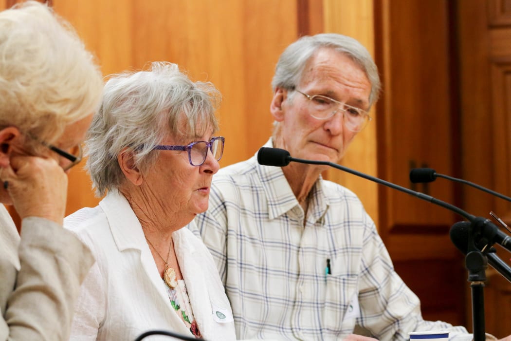 The mother of Ashley Peacock, Marlena Peacock (center) speaks to the Health Committee with Ashley's father David on her right.