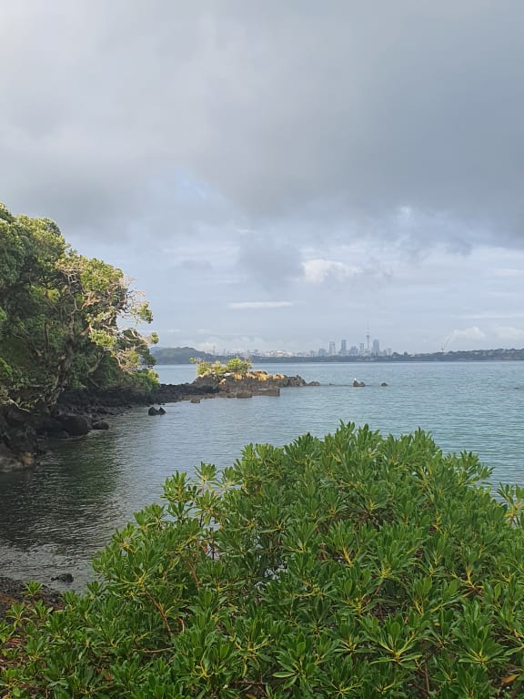 Motutapu Island is having a tough run with four stoat invasions in one year.