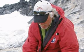 Penguin being released after having its wing band adjusted.