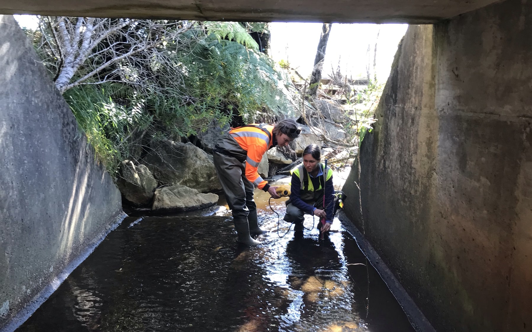 Stephanie Patchett & field assistant Alysha monitor water flow through the culvert. Aysha holds a piece of equipment into the stream flowing through a concrete tunnel while Stephanie holds a guage instrument.