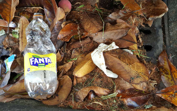 Plastic rubbish in the gutter of a Hamilton Street. From here it will wash into the nearby stormwater drain which leads directly to a local stream.