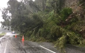 The slip at Burke Flat on SH6 south of Haast on Monday afternoon as it was bringing down trees on the road.