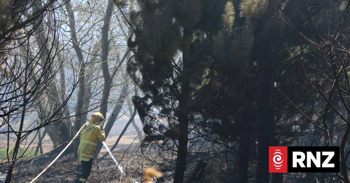 Big knowledge gaps around where wildfires burn and the damage they are doing