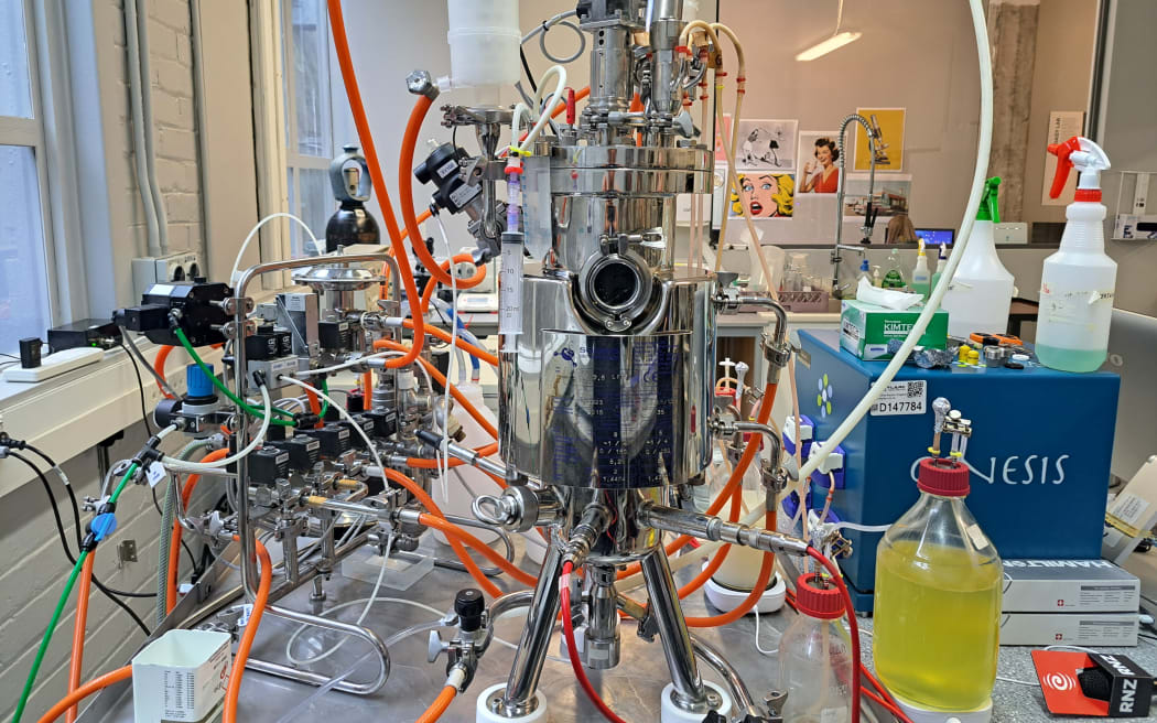 Daisy Lab