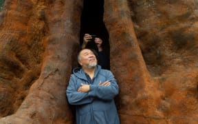 Ai Weiwei poses with his artwork Pequi Tree Portugal 2021.