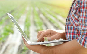 Male farmer with laptop in field, closeup