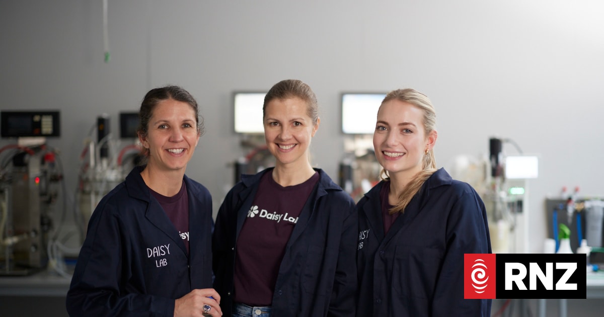 NZ biotech start-up Daisy Lab's expansion hopes after UK acquisition