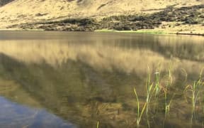 Lake Sarah