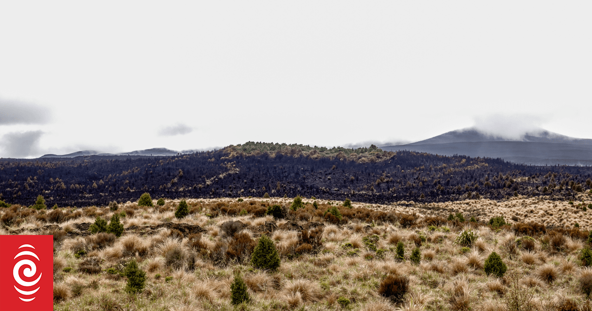 Tongariro tracks shut until at least next week after devastating wildfire