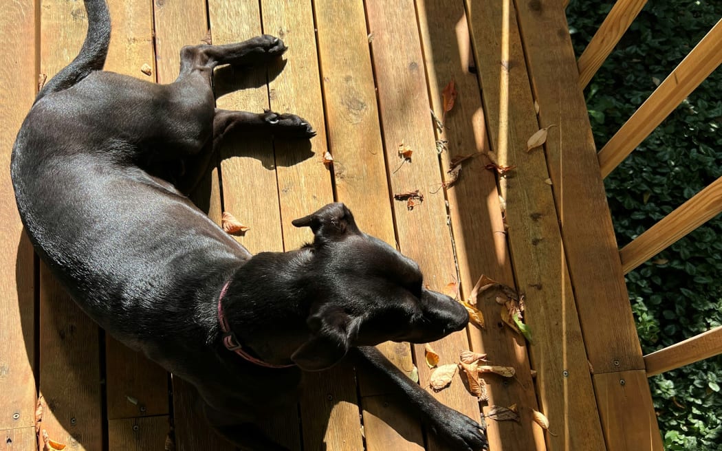 Don't wait until summer to prep your deck.