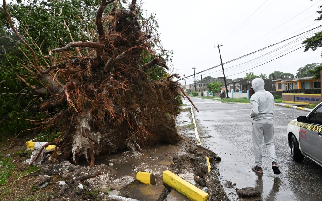 A man looks at a fallen tree in St. Catherine, Jamaica, on October 28, 2025. Ferocious winds and torrential rain tore into Jamaica Tuesday as Hurricane Melissa made landfall, the worst storm ever to strike the island nation and one of the most powerful hurricanes on record. The extremely violent Category 5 system was still crawling across the Caribbean, promising catastrophic floods and life-threatening conditions as maximum sustained winds reached a staggering 185 miles per hour (295 kilometers per hour). (Photo by Ricardo Makyn / AFP)