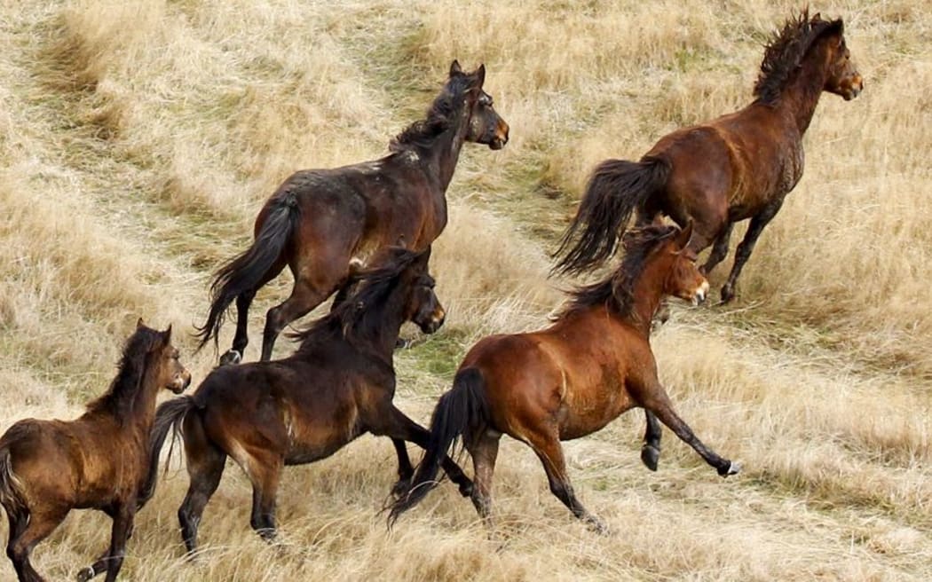 The annual muster is scheduled for May.