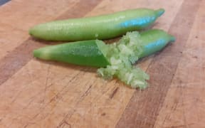 A finger lime from Ian and Louise Dodgshun's crop in Gisborne.