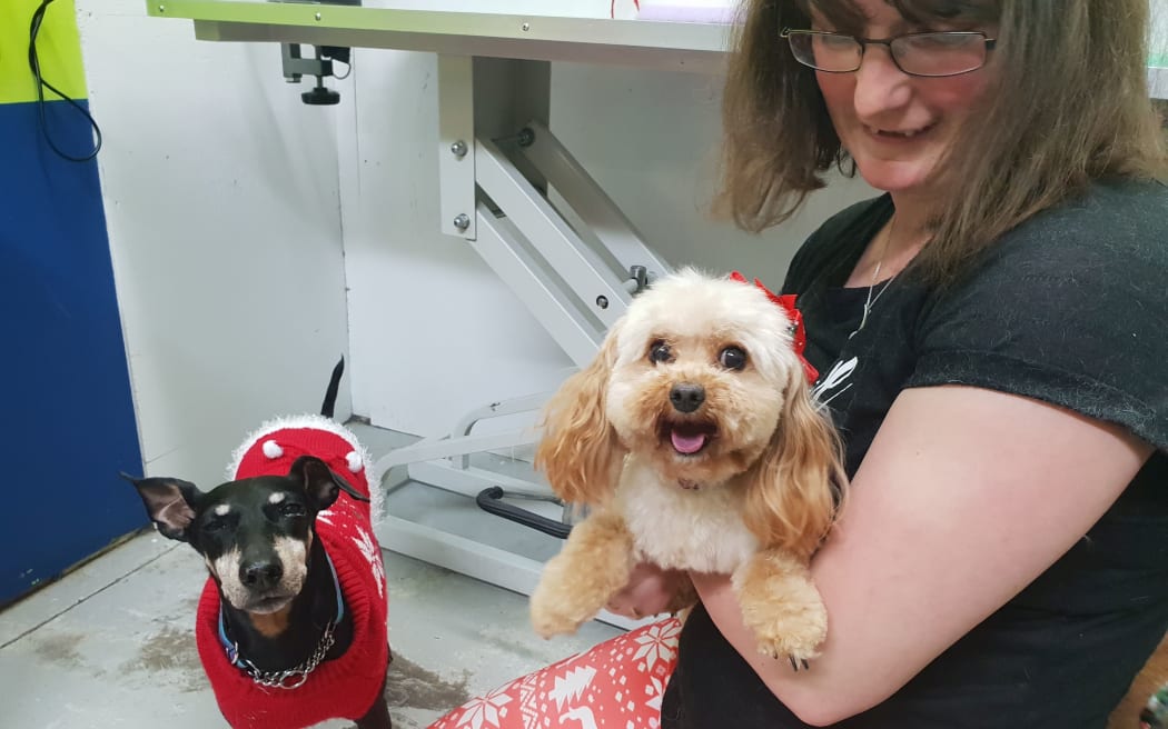 Pet dogs Christmas