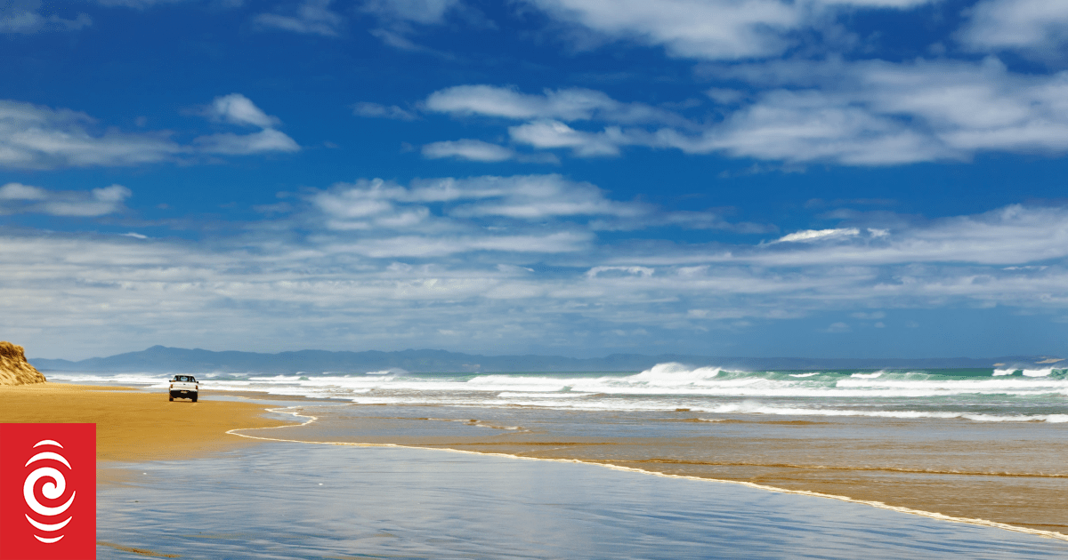 At least 12 whales dead on Ninety Mile Beach as rescue continues | RNZ News