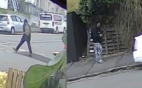 Wellington police are appealing for information about these two men.