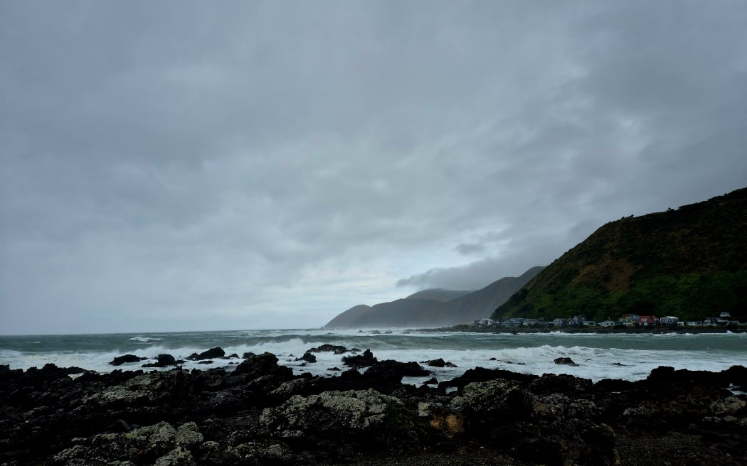 Wellington's south coast (Island Bay & Owhiro Bay)