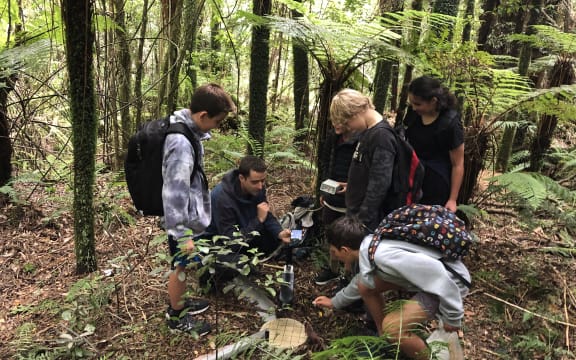Science and Technology | RNZ News