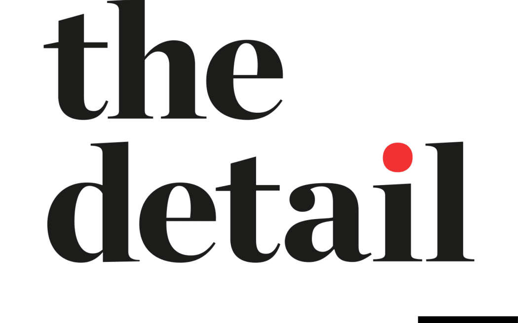 Test reads "the detail" where the dot on the "I" is highlighted. In the top left corner is the RNZ logo and in the bottom right corner is the Newsroom logo.