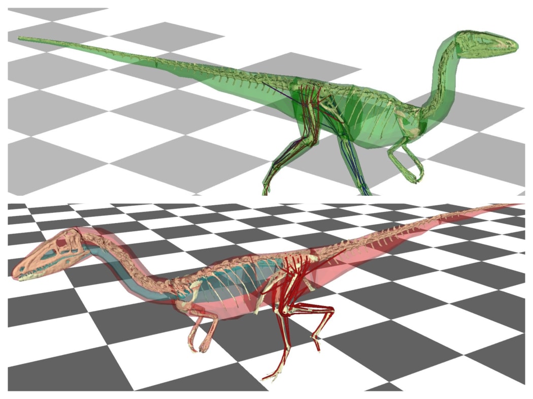 Dinosaur images