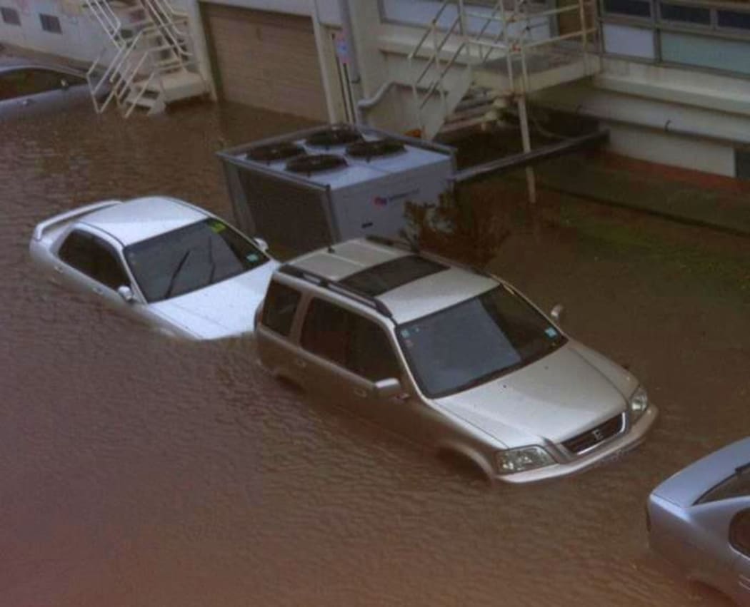 Cars were almost submerged in Alfred Street, Wellington.