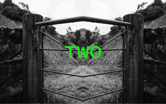 Podcast episode image for the 'Mr Lyttle Meets Mr Big' podcast. A moody black and white photograph of a farm gate is mirrored vertically creating a Rorschach like effect with the episode number 'TWO' overlaid in vibrant green.