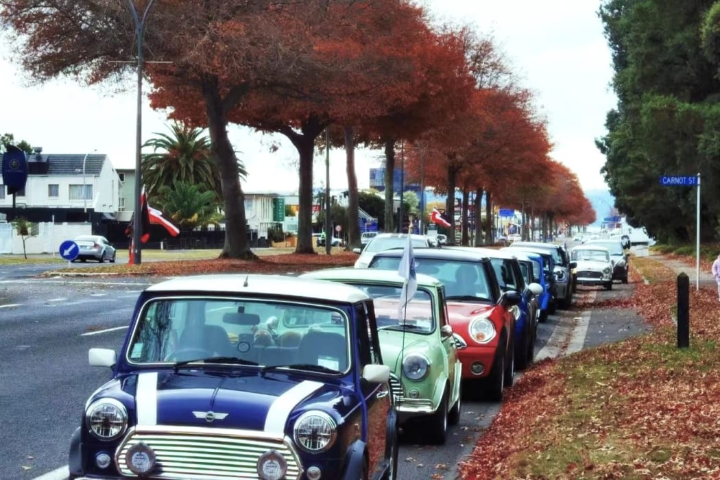 Rotorua - Autumn foliage, North Island, New Zealand.