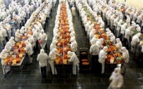 China food factory