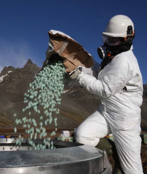 Rat bait containing anticoagulant poison being used to eradicate rats from South Georgia.