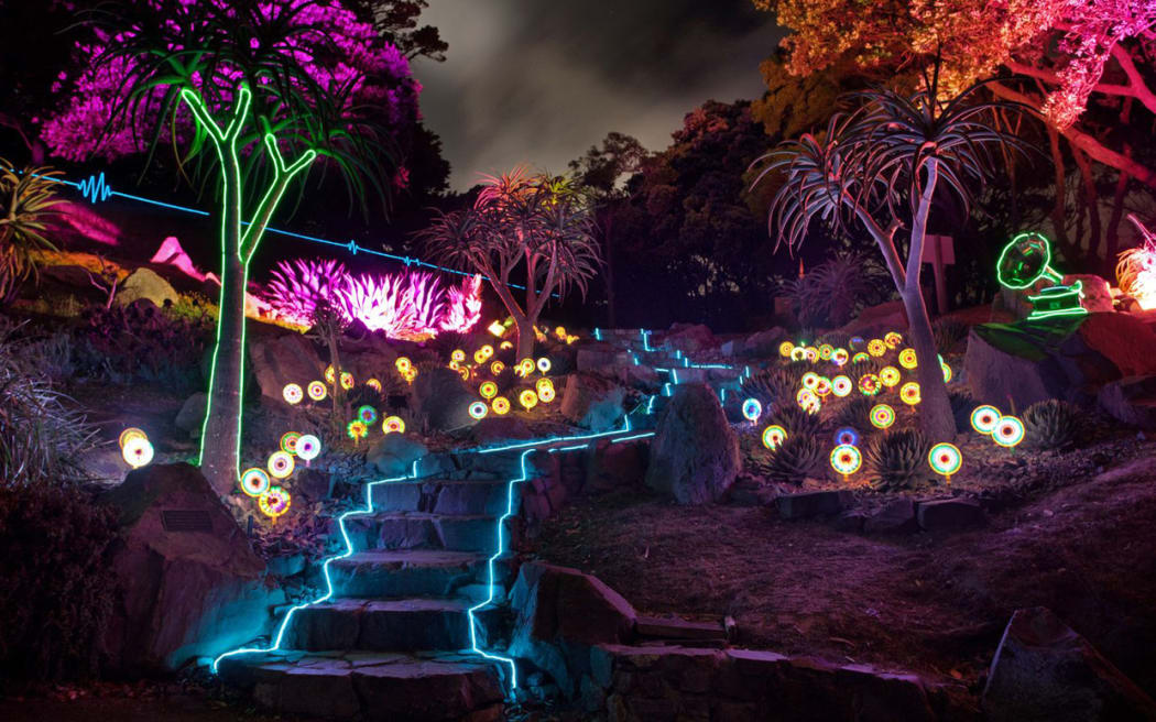 The 2014 festival featured the 'Power Plant' installation at Wellington's Botanic Gardens.