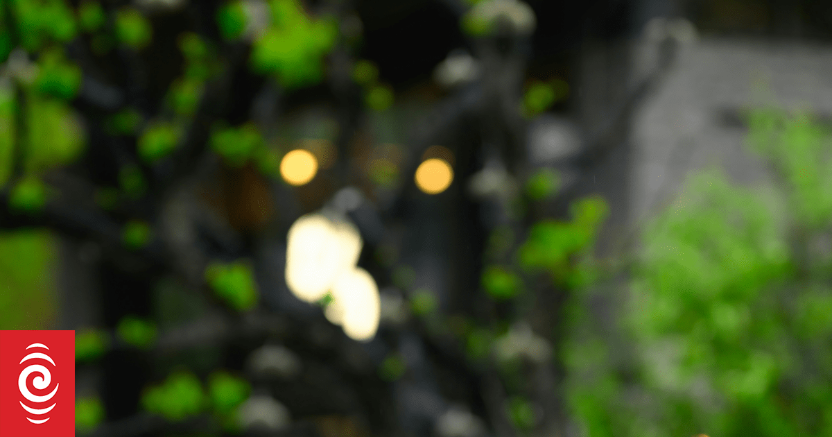 Early-stage angel investment in start-up businesses grows for first time since 2021