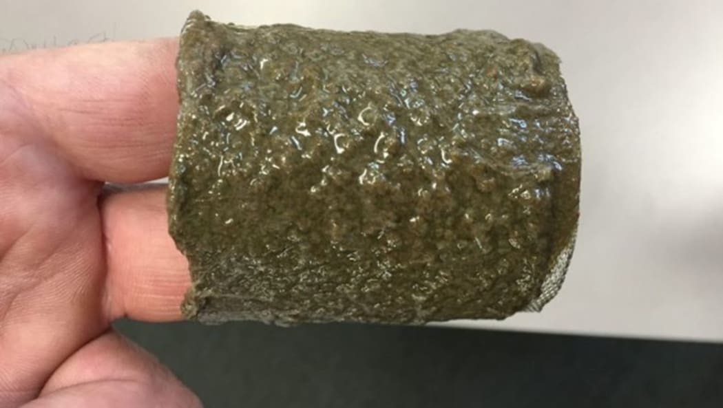 Clogged filter at Wanaka laundromat