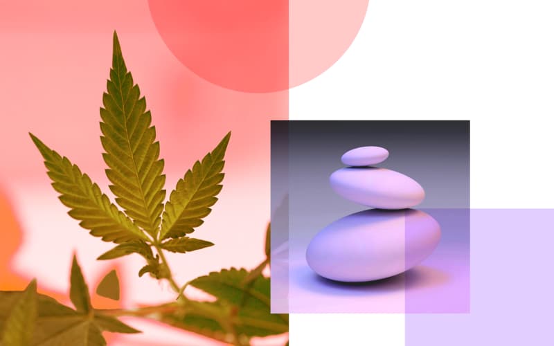 Cannabis leaf and balancing stones