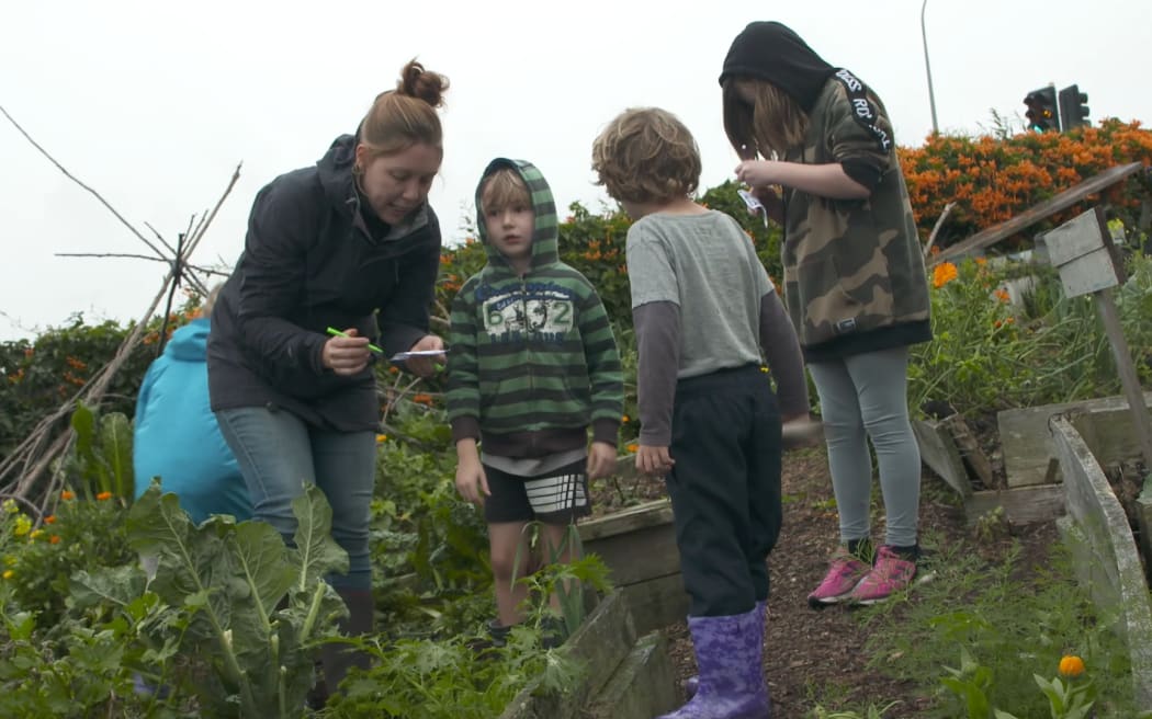 Behind the Whangaparāoa Library lies this community garden with flower beds and vege patches full of seedlings and leafy greens.