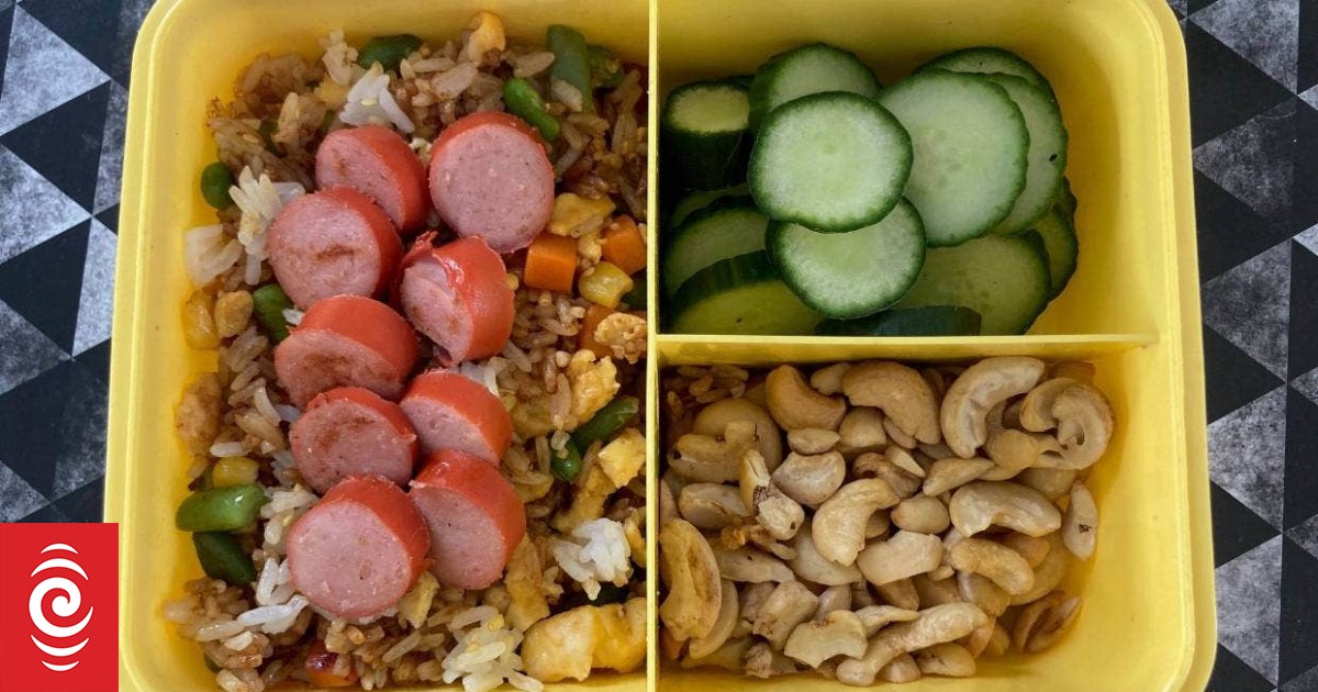 Government-Funded School Lunches Under Review