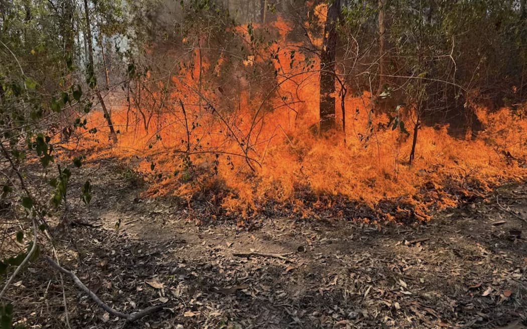 The RFS is fighting more than 50 fires across NSW amid intense heat, including this one at Taree on the Mid North Coast. (Supplied: RFS, Taree)