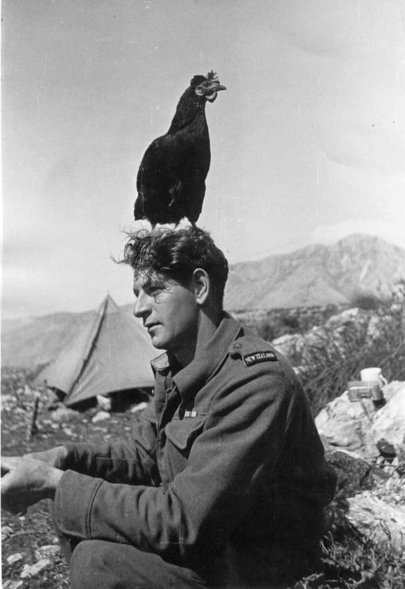 Birds had an important role in war, carrying messages.