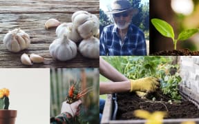 Best of 2020: Gardening