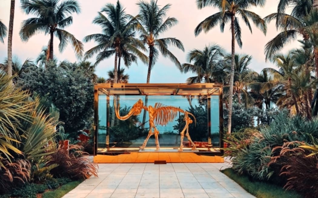 Photo by Muzammil Soorma on Unsplash