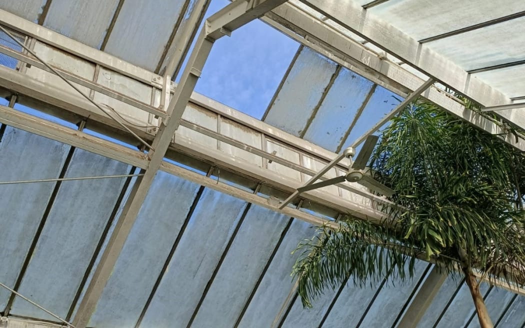 Two glass panes at Wellington Botanic Garden's Begonia House were dislodged by strong winds on 25 April, 2024.