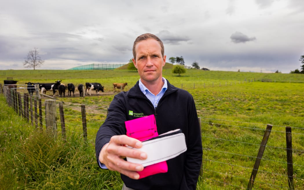 AgResearch senior scientist Brendon Welten with urine sensor for dairy cows.