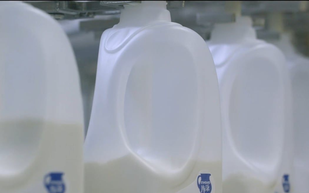 Synlait milk on the production line.