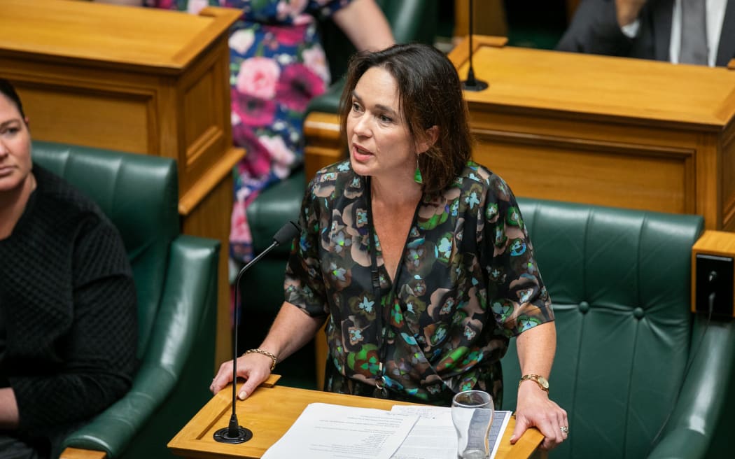 Ginny Andersen speaks during the third reading of the Taranaki Maunga Settlement Bill