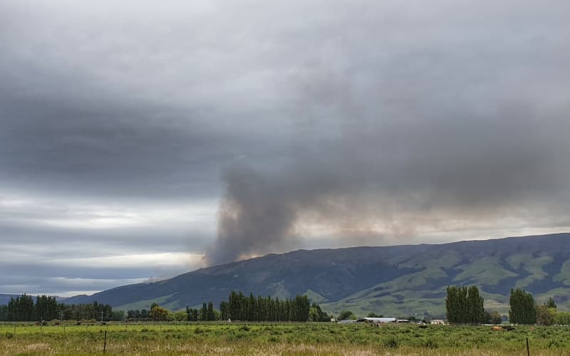 Fire crews battle 50ha blaze south of Dunedin | RNZ