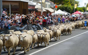 The Great New Zealand Muster, Te Kūiti, 29 March, 2025.