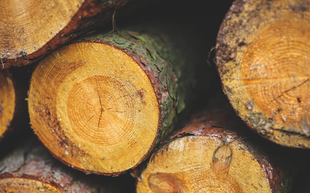 Logs