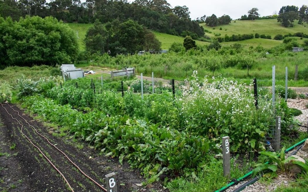FAT PIG FARM