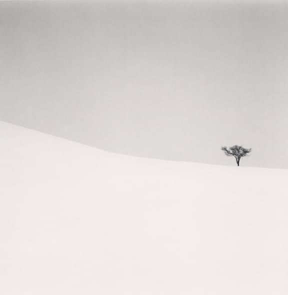 Single Tree, Mita, Hokkaido, Japan. 2007